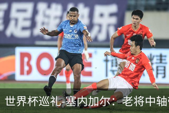 世界杯巡礼-塞内加尔：老将中轴带来安全感，非洲顶流前景可期！